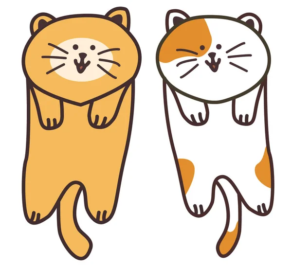 Két Macska Karakter Koreai Rövid Haj — Stock Vector
