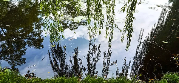 Romantik bir göl. Parlak, tembel gökyüzü, bulutlar ve yeşil ağaçların yansıdığı.