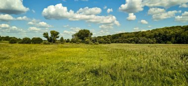Parlak mavi bir gökyüzünün altında açık beyaz bulutlarla dağlardan ve ağaçlardan oluşan bir arazinin yaz manzarası.