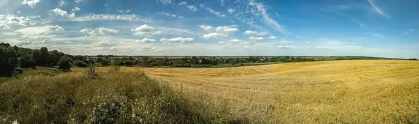 Piękny Krajobraz Polem Pszenicy Zachmurzone Niebo Panorama — Zdjęcie stockowe