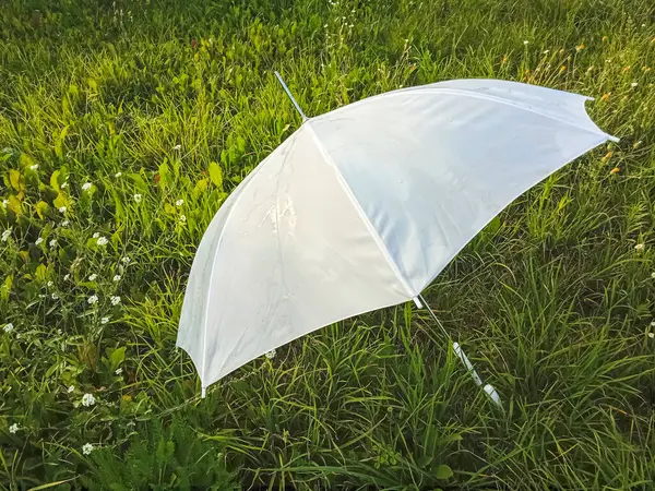 stock image white umbrella from the rain on a green lawn