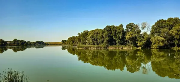 Yazın sakin nehrin güzel manzarası