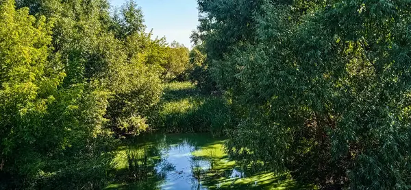 Ukrayna 'daki yaz parkında güzel bir nehir..