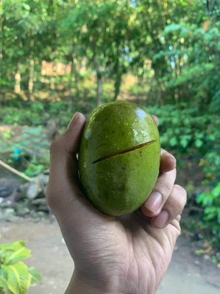 Yaz Sansasyonu: Dilimlenmiş Yeşil Mango, Bir Zesty ve Sulu Lezzet