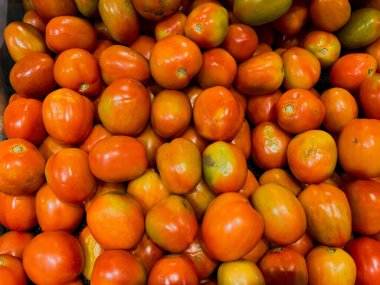 Taze Domates Lezzeti: Düz Yat ve Yakın Çekim Çeşitli Taze Domatesler Süpermarket Sepetinde Sergilendi