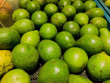 Baştan çıkarıcı Avokado Çeşitliliği: Bir süpermarkette bir sepete yerleştirilmiş Taze Yeşil Avokadoların Çeşitli Taze Avokadoların Yakın Görüntüsü