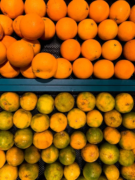 Cezbedici Citrus Gösterisi: Süpermarkette bir sepete yerleştirilmiş çeşitli portakal türlerinin düz serili görüntüsü