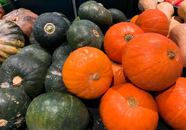 Canlı Balkabağı Görünümü: Bir süpermarkette Düzenli Taze Balkabakları Özellikli Düz Yatay Kompozisyon