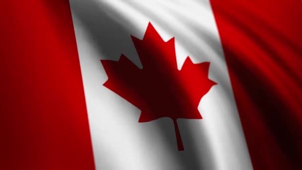 Bandeira Ondulante Canadá Bandeira Nacional Canadense Vídeo Fundo Resolução Vídeo — Vídeo de Stock