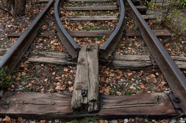 Παλιός Σιδηρόδρομος Φθινόπωρο Σιδηρόδρομοι Στρωτήρες Πολύχρωμες Πέτρες Πεσμένα Ξηρά Κίτρινα — Φωτογραφία Αρχείου
