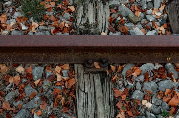 旧铁路秋天 枯干的黄叶 固定铁轨的铁路桥墩 — 图库照片