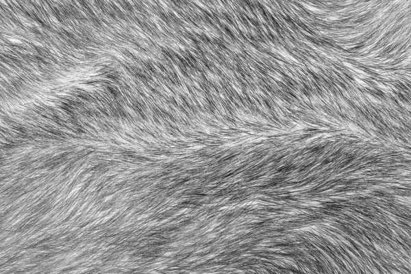 Doku. Hayvan kürkü. Palto uzun ve kısa. Renkli ve tek renkli yün yün. Tilki yünü. Kirpi kürkü.