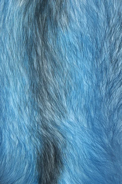 Textuur Dierlijke Vacht Vacht Lang Kort Gekleurde Monochrome Wol Vossenwol — Stockfoto