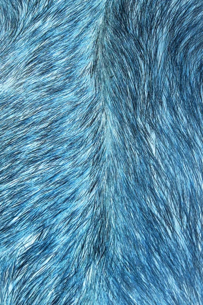 Textura Zvířecí Kožich Kabát Dlouhý Krátký Barevná Jednobarevná Vlna Liščí — Stock fotografie