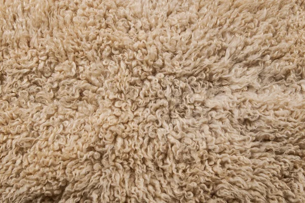 动物毛皮这件外套又长又短 彩色和单色羊毛 福克斯羊毛 刺猬毛 — 图库照片