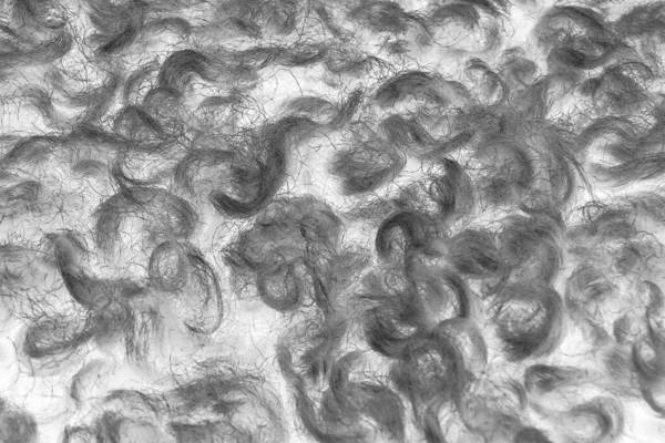 Doku. Hayvan kürkü. Palto uzun ve kısa. Renkli ve tek renkli yün yün. Tilki yünü. Kirpi kürkü.