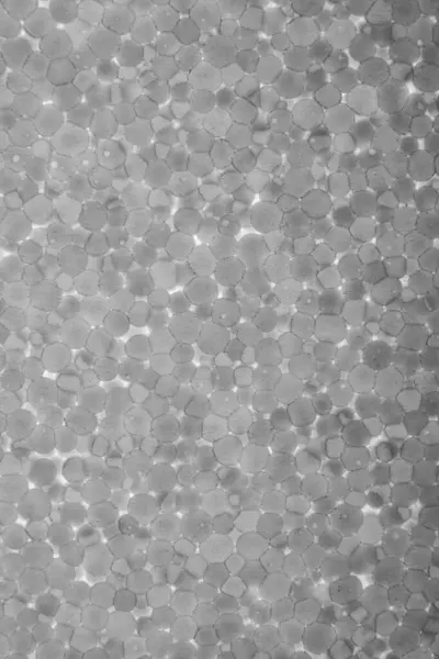 Arkaplan ve tasarım için yapay köpük dokusu. Köpüğün tek renkli görüntüsü. Fotoğraf konusunun arka ışıklandırması. makro fotoğrafçılık.