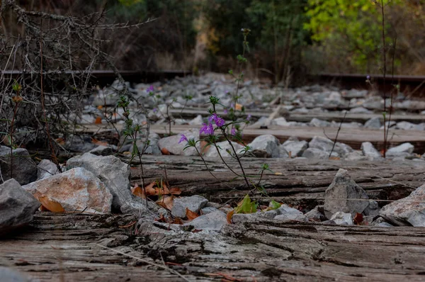 Sonbahar eski demiryolu. Delikli raylar, eski ahşap uykucular, renkli taşlar, paslı metal, nesne dokusu, tel..