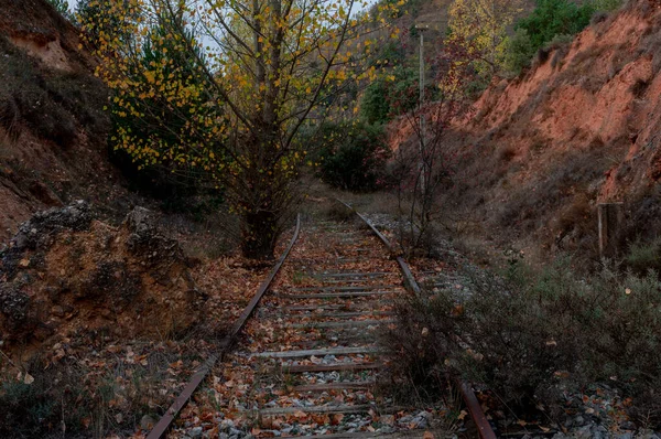 Sonbahar eski demiryolu. Delikli raylar, eski ahşap uykucular, renkli taşlar, paslı metal, nesne dokusu, tel..