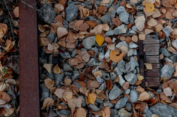 Осенняя Старая Железная Дорога Рельсы Дырками Старые Деревянные Шпалы Цветные — стоковое фото