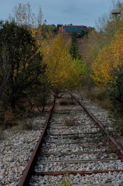 Herbstliche Alte Eisenbahn Schienen Mit Löchern Alte Holzschwellen Farbige Steine — Stockfoto