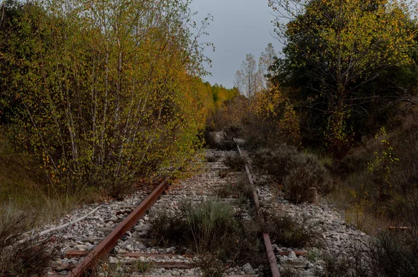 Ferrocarril Viejo Otoño Carriles Con Agujeros Viejas Traviesas Madera Piedras — Foto de Stock