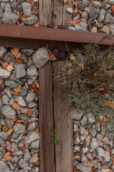 Herbstliche Alte Eisenbahn Schienen Mit Löchern Alte Holzschwellen Farbige Steine — Stockfoto