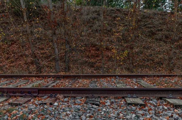 철도를 나무로 몽유병 물체의 — 스톡 사진
