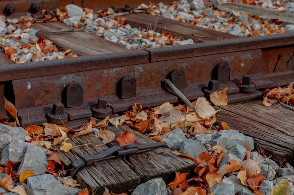 Φθινοπωρινή Σιδηροδρομική Σιδηρόδρομοι Τρύπες Παλιά Ξύλινα Στρωτήρες Χρωματιστές Πέτρες Σκουριασμένο — Φωτογραφία Αρχείου