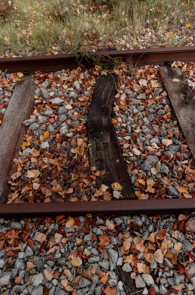 Höstens Gamla Järnväg Räls Med Hål Gamla Träsliprar Färgade Stenar — Stockfoto