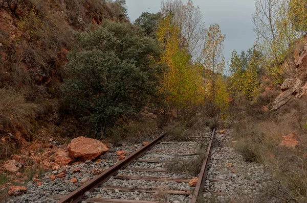 Ferrocarril Viejo Otoño Carriles Con Agujeros Viejas Traviesas Madera Piedras — Foto de Stock