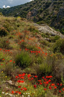 Bahar. Kırmızı gelincikler. Bahar çiçekleri. Kayadaki manastır. Yeşil çimenler. Çalılar. Taşlar. Sarı çiçekler. Mavi gökyüzü. Beyaz bulutlar. Nehir.