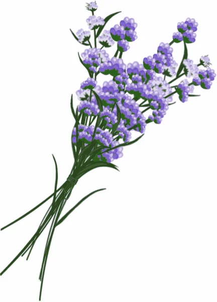 Ramo Aislado Flores Azules — Vector de stock