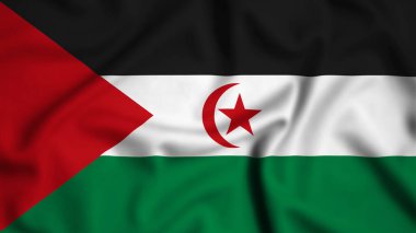 Sahra Arap Demokratik Cumhuriyeti 'nin bayrağının rüzgarda dalgalandığı bölgeler.
