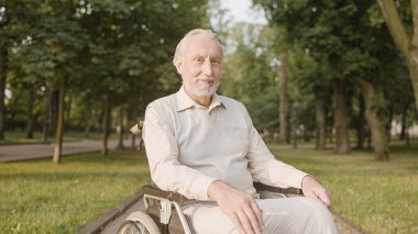 Tekerlekli sandalyedeki memnun adam kameraya gülümsüyor, parkta dinleniyor, huzurevinde yatıyor.