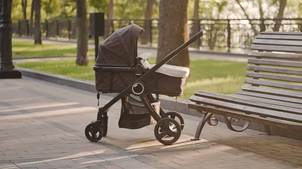 Baby stroller in park, family planning, childbirth preparation, fertility age