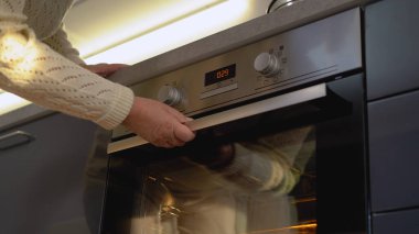 Meşgul bir ev hanımı aile tatilleri için yemek pişirirken modern bir fırında yemek yiyor.