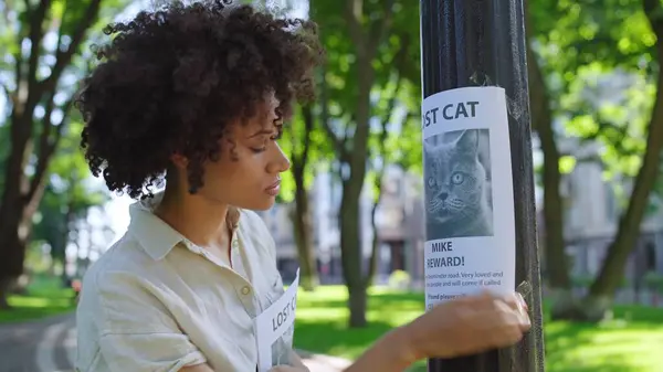 动物收容所的女志愿者在城市里张贴有失踪猫的海报 免版税图库照片
