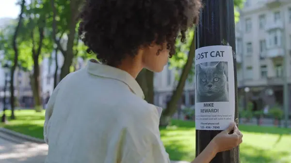 忧心忡忡的猫主人挂着海报 上面挂着丢失的宠物图片 免版税图库图片
