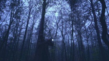 Korkusuz dedektif elinde fener ve silahla gece ormanında yürür.