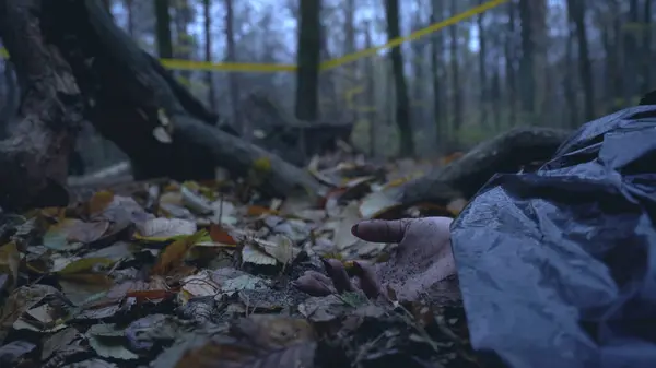 Cinayet mahallinde adli tıp uzmanı olarak çalışan bir kadının eli yerde yatıyor.