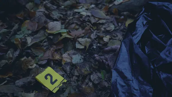 Cinayet mahallinde adli tıp incelemesi sırasında ceset torbasıyla kaplı bir kadın cesedi bulundu.