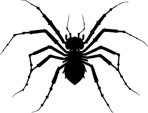 Black Spider Halloween Vector — Stock Vector