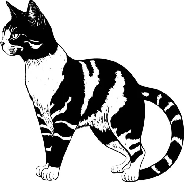 Ilustración Del Contorno Del Gato Vector Blanco Negro — Vector de stock