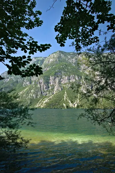 斯洛文尼亚特里格拉夫国家公园的Bohinj湖 美丽的湖水清澈无比 四周环绕着高山 非常受欢迎的旅游胜地 — 图库照片