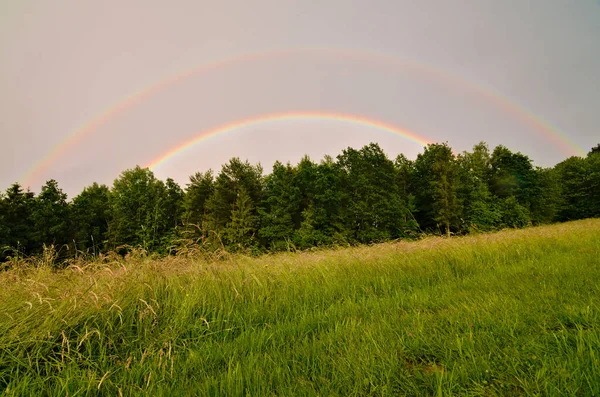 Double rainbow above the forest and meadow. Sunny and rainy weather at the same time caused this phenomenon. Spring evening in Czech republic.