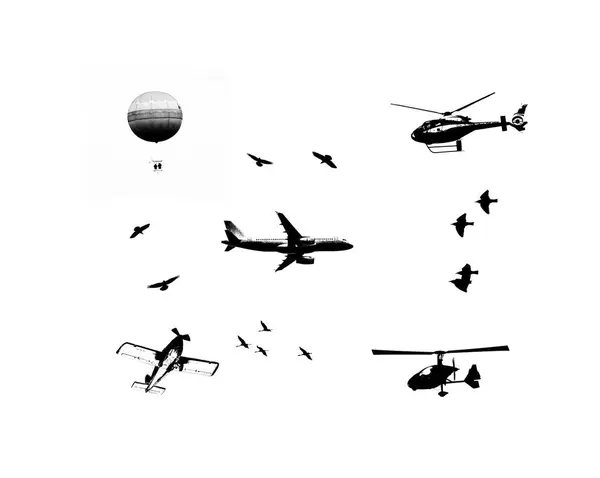 Olika Flygande Transportmedel Illustration Graffiti Svart Och Vit Stil Luftballong — Stockfoto