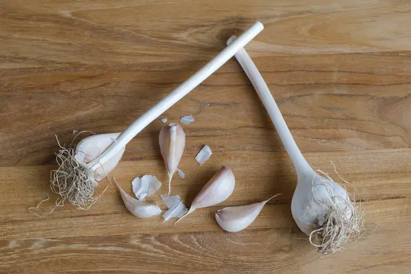 Healthy superfoods garlic on rustic wooden table. Popular spice. Autumn harvesting on farm.
