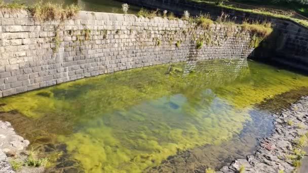 Забруднення Прісної Води Водоростями Викликане Періодом Посухи Сухе Річкове Ложе — стокове відео