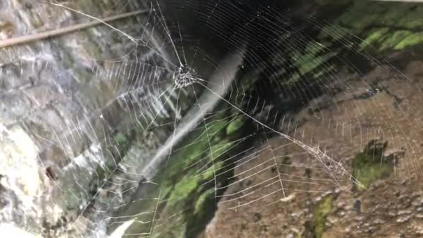 Läskigt Glänsande Spindelnät Vinden Vid Ingången Till Övergivna Katakomberna Halloween — Stockvideo